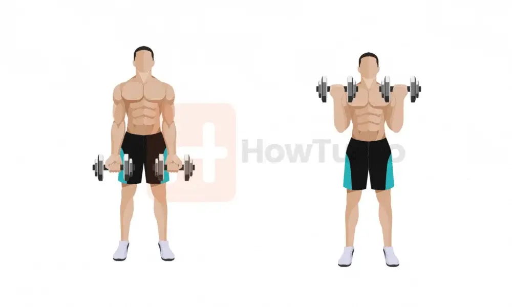 How to build muscle at home - Biceps curl