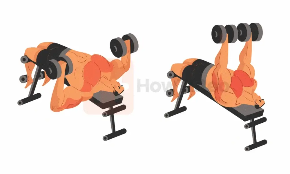 How to build muscle at home - Chest press