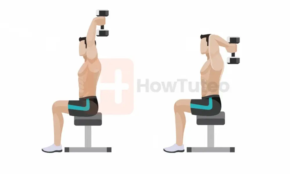 Triceps extension