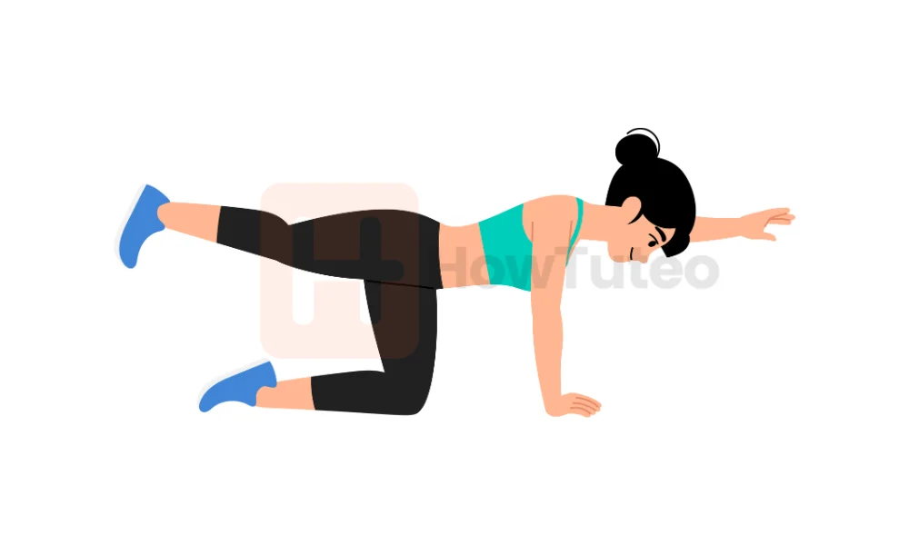 Best ab exercises at home with no equipment - Bird dog